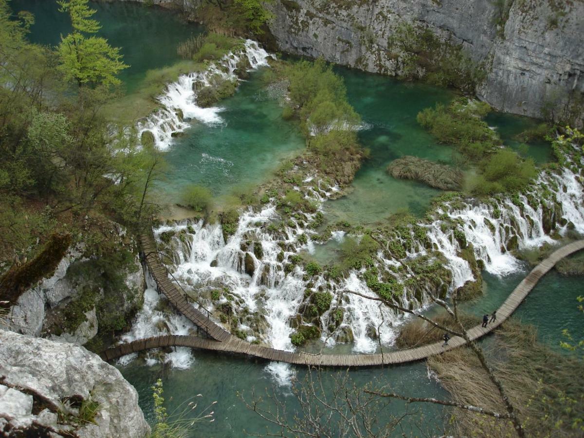Magic View